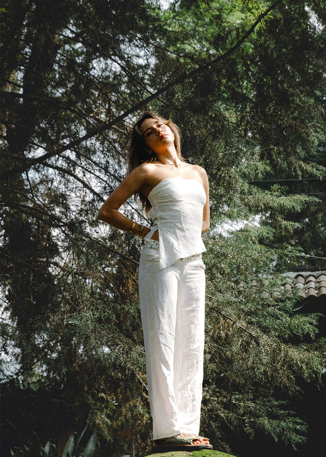 TARIACURI DAMA PREMIUM